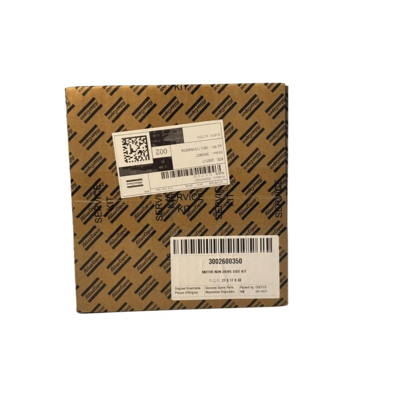 Orijinal 3002600350 Atlas Copco Motor Non Drive Side Side Kit, Yağ vurulmuş vida kompressorları üçün
