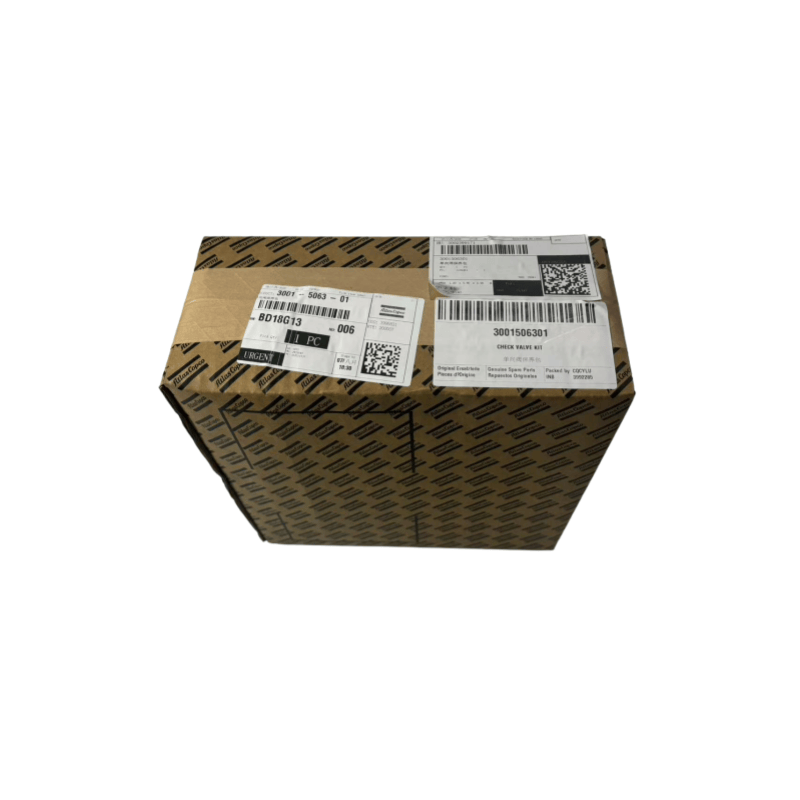 Orijinal 3001506301 ATLAS COPCO OIL PULSUZ kompressorlar klapan dəsti yoxlayın