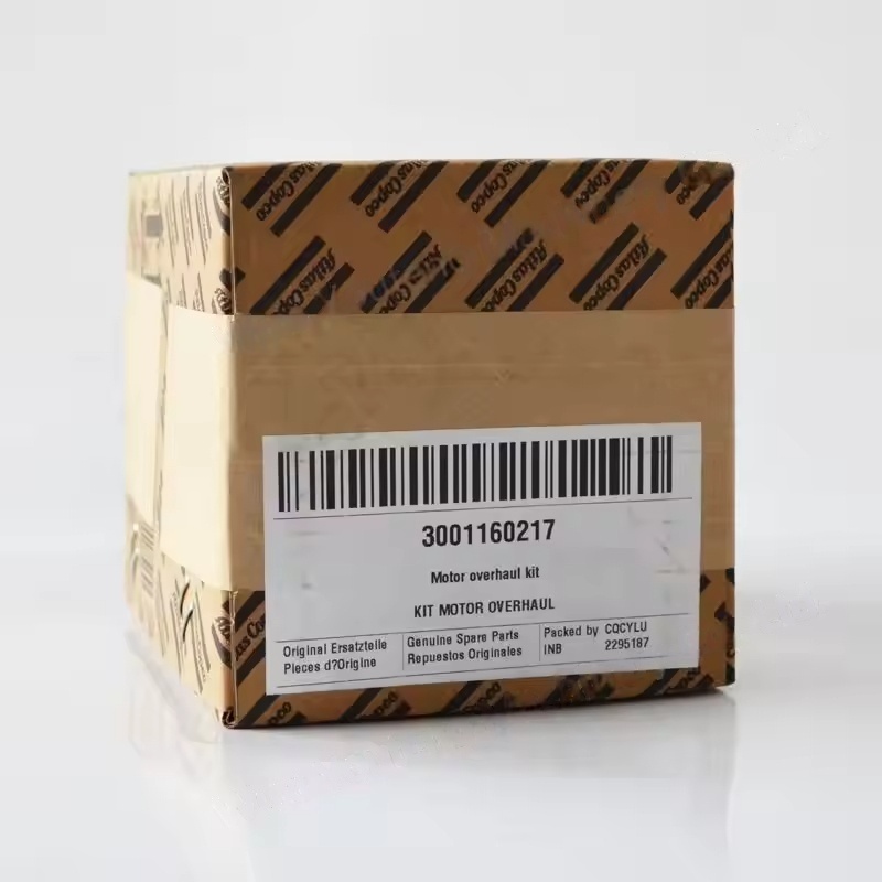 3001160217 Atlas Copco Hava Kompressoru Ehtiyat hissələri Kit Motor Təminatı
